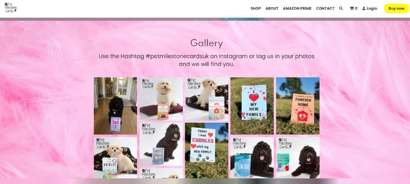 寵物事業網站 寵物事業網站